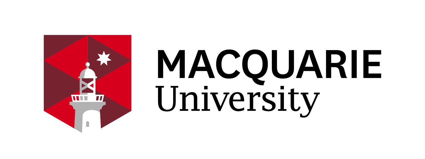 Partner 6